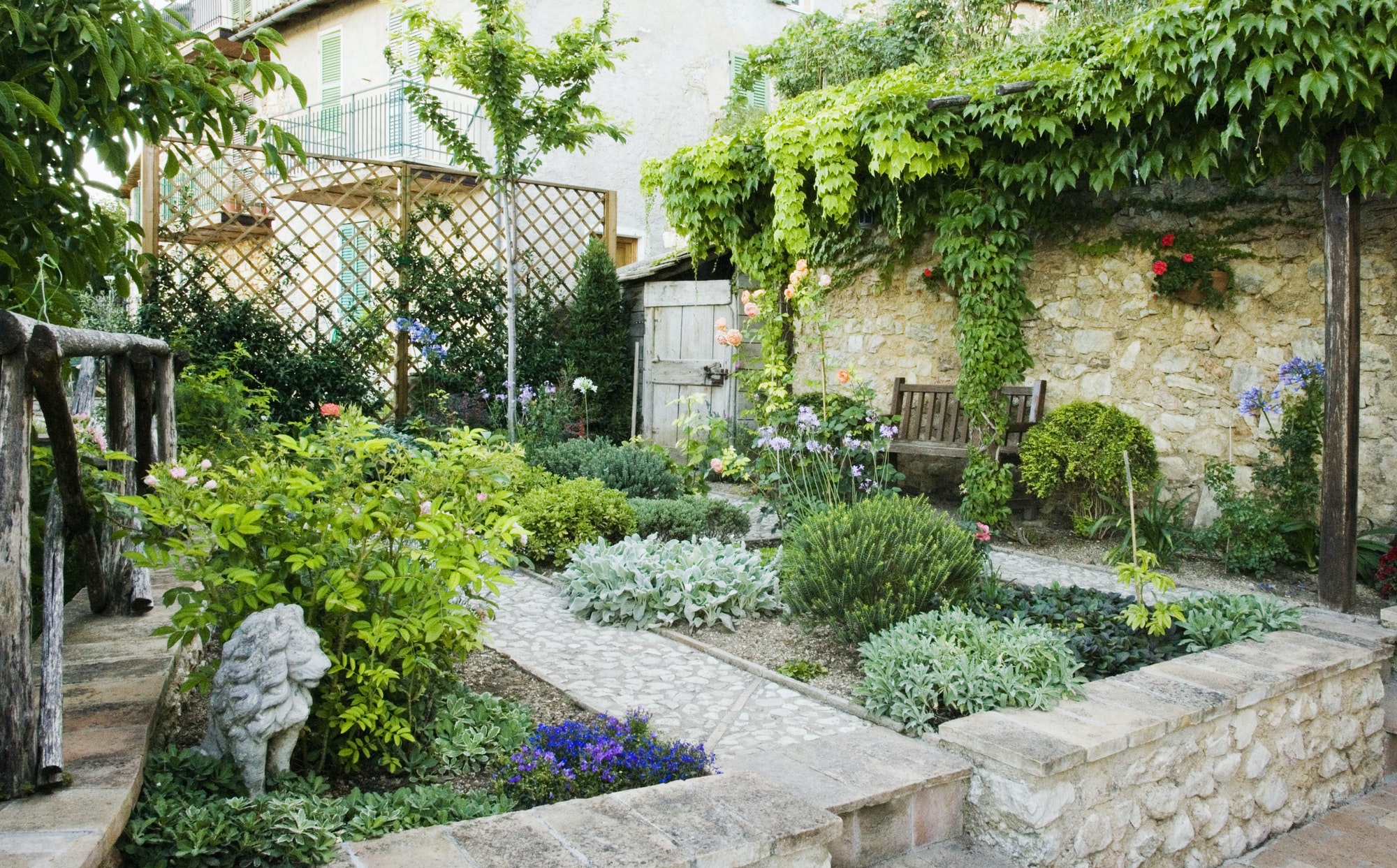 A lush garden featuring an array of plants and blooming flowers, creating a serene and picturesque outdoor space.