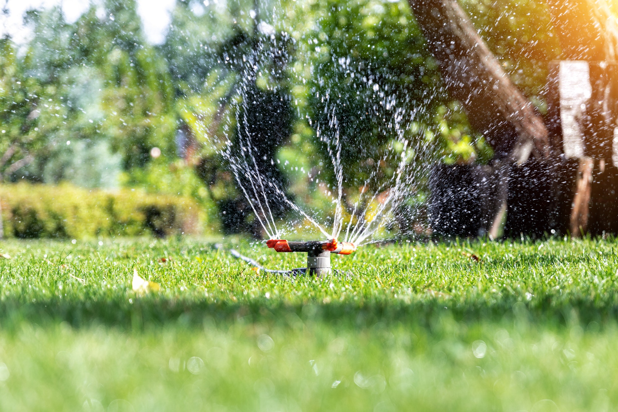 A sprinkler sprays water over a lush green lawn, creating a refreshing scene of vibrant grass and droplets.